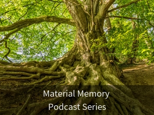 Material Memory Podcast Series. Background image: Old tree with green leaves and large roots.