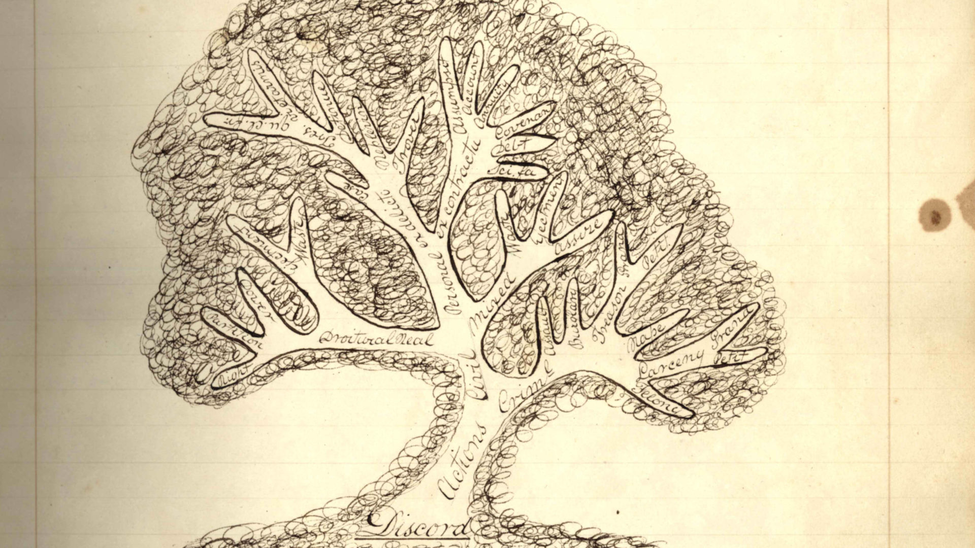 legal tree drawing