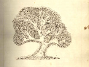 legal tree drawing