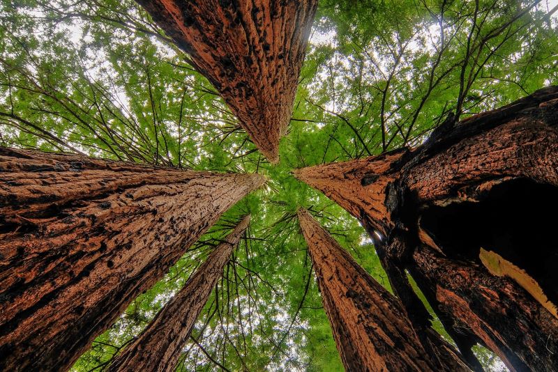 Material Memory Podcast Episode