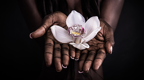 hands holding flower