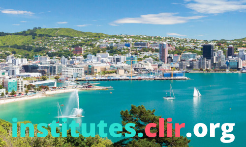 CLIR Institutes New Zealand