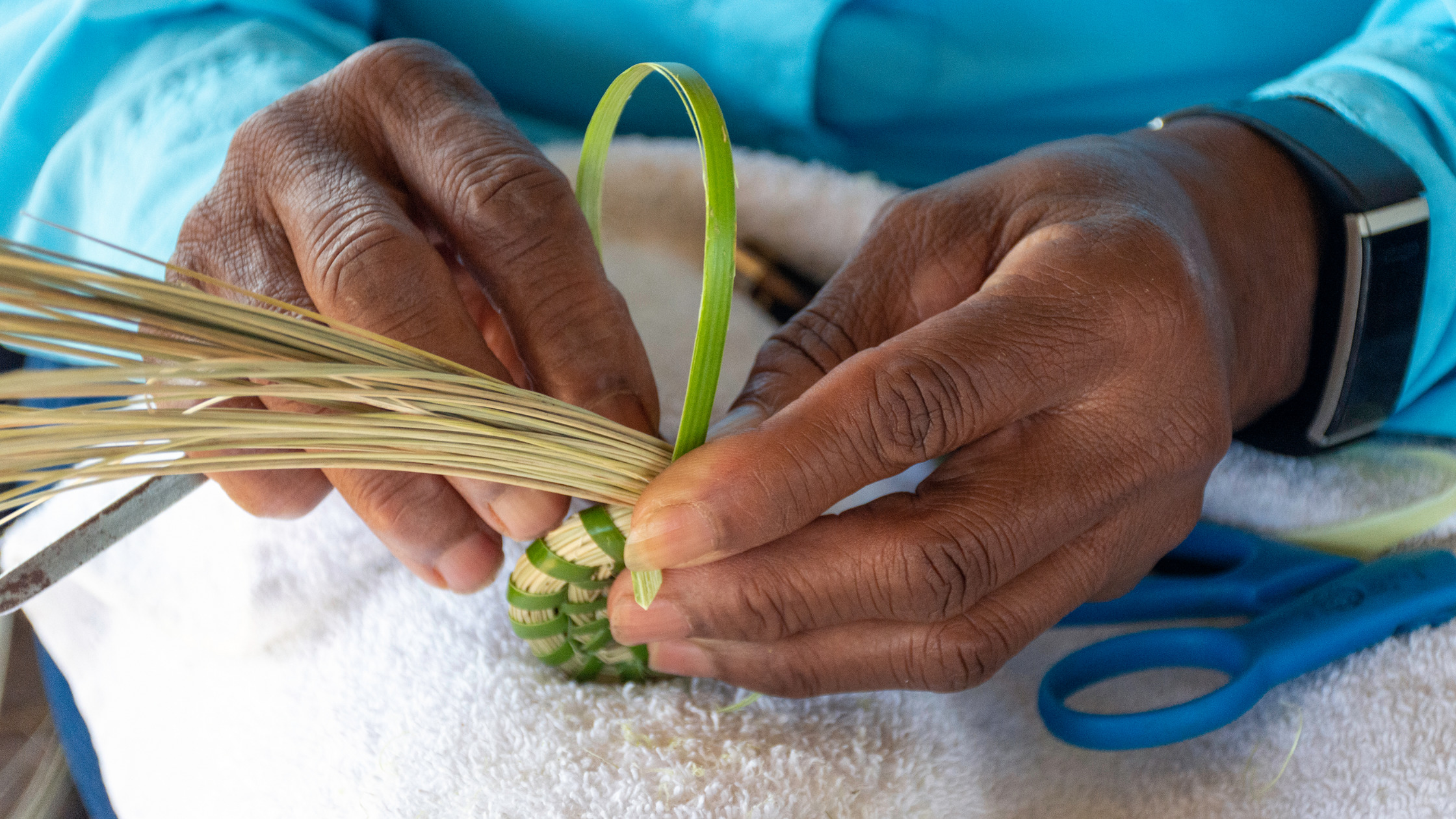 Close up color photo of hands of Gullah craftsperson weaving basket