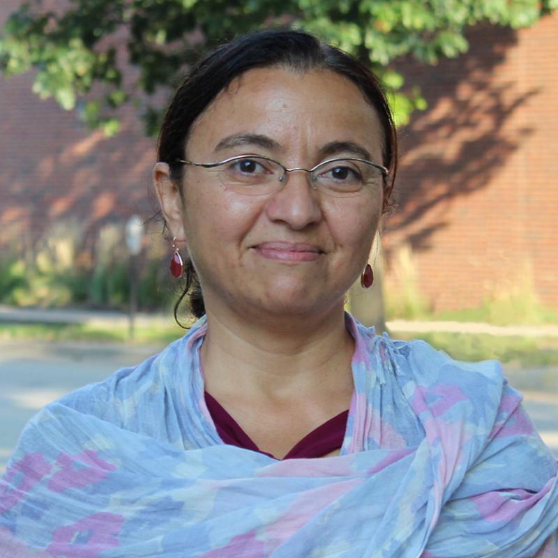 Color headshot photo of Laila Hussein Moustafa with pastel scarf around shoulders and smiling at camera.