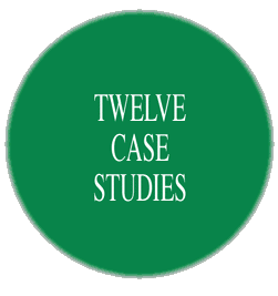  Twelve Case Studies 