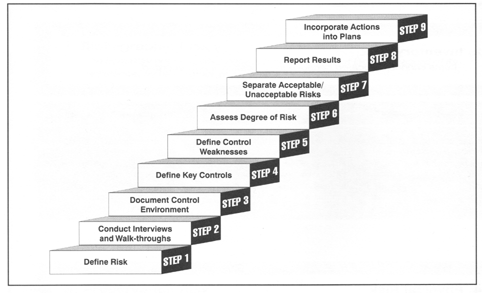 The risk-assessment process