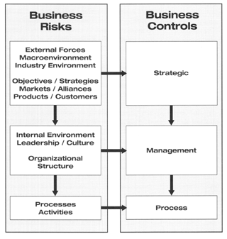 Business risks and control elements at different levels of the organization