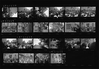 fig5.gif Peace March